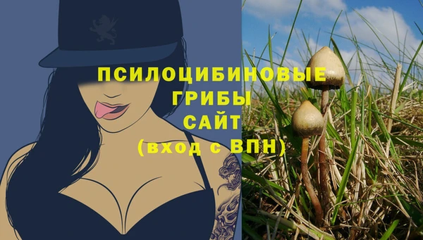 спайс Верхний Тагил