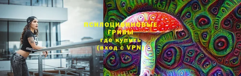 Псилоцибиновые грибы Cubensis  кракен как зайти  Кореновск 